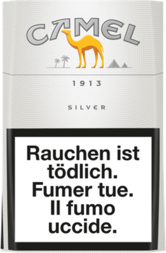 Camel Silver Box